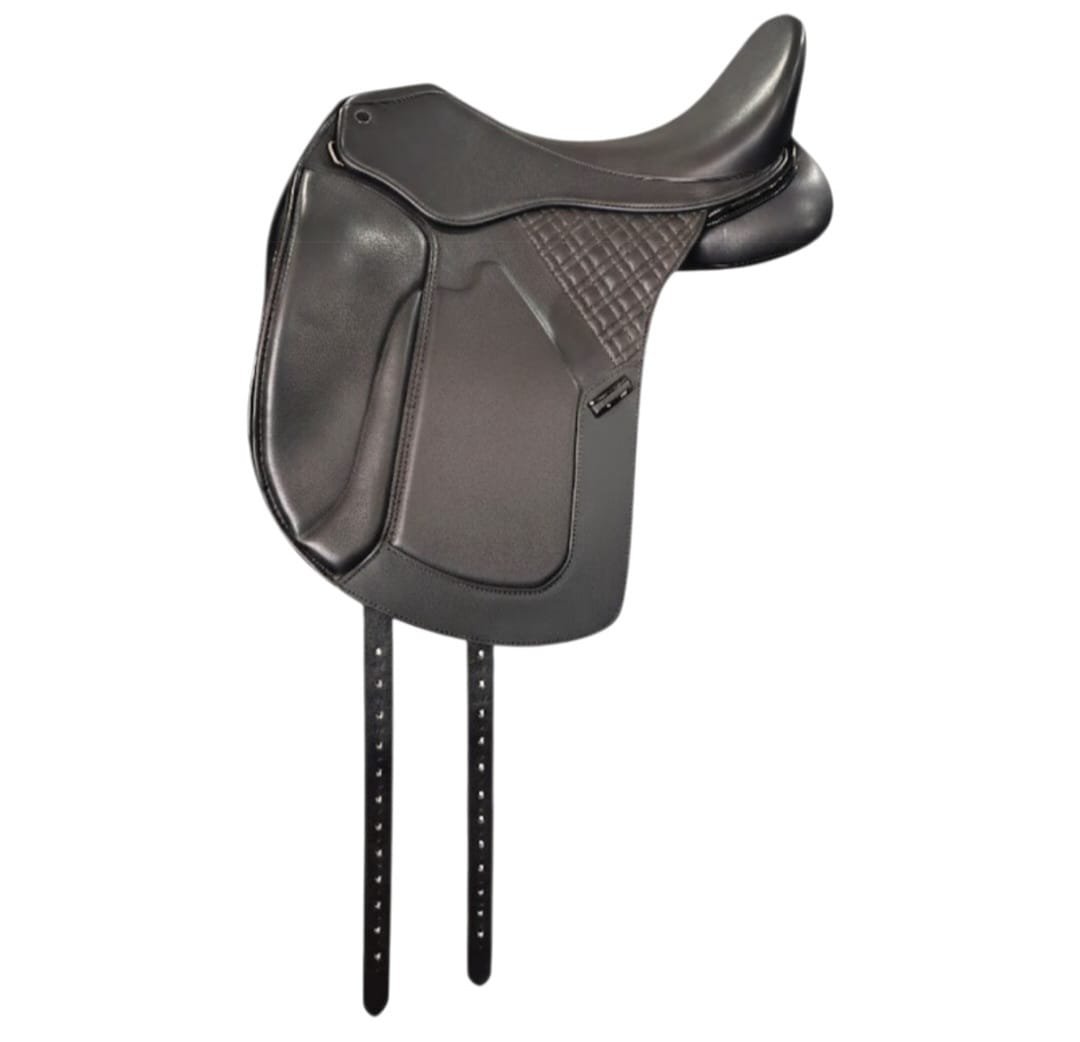 Equestrian1 (2)