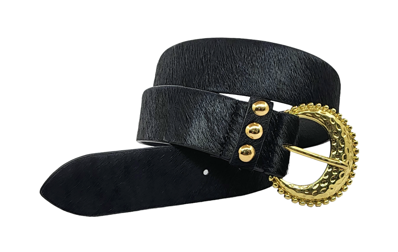 Eterna Curve